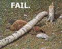Click image for larger version

Name:	fffa.jpg
Views:	102
Size:	44.2 KB
ID:	1807072