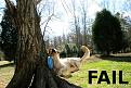 Click image for larger version

Name:	frisbee-fail.jpg
Views:	104
Size:	59.9 KB
ID:	1807073