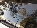 Click image for larger version

Name:	clean rear screen (Medium).jpg
Views:	26
Size:	85.8 KB
ID:	1807159