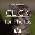 Click image for larger version

Name:	IMG_0323_zps5c13d337.jpg
Views:	29
Size:	14.0 KB
ID:	1816820