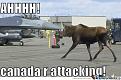 Click image for larger version

Name:	canada-attacks_o_162620.jpg
Views:	71
Size:	46.0 KB
ID:	1819346