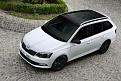 Click image for larger version

Name:	2015-skoda-fabia-estate-combi-production-starts-photo-gallery_1 bp.jpg
Views:	186
Size:	218.5 KB
ID:	1865091