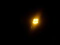 Click image for larger version

Name:	Light down side of pillar driver side.jpg
Views:	5
Size:	19.1 KB
ID:	1870064